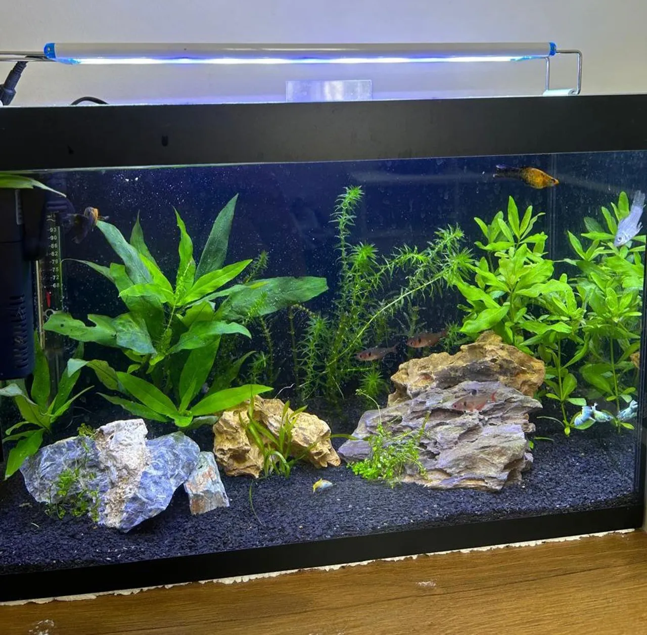 Aquário 28L completo