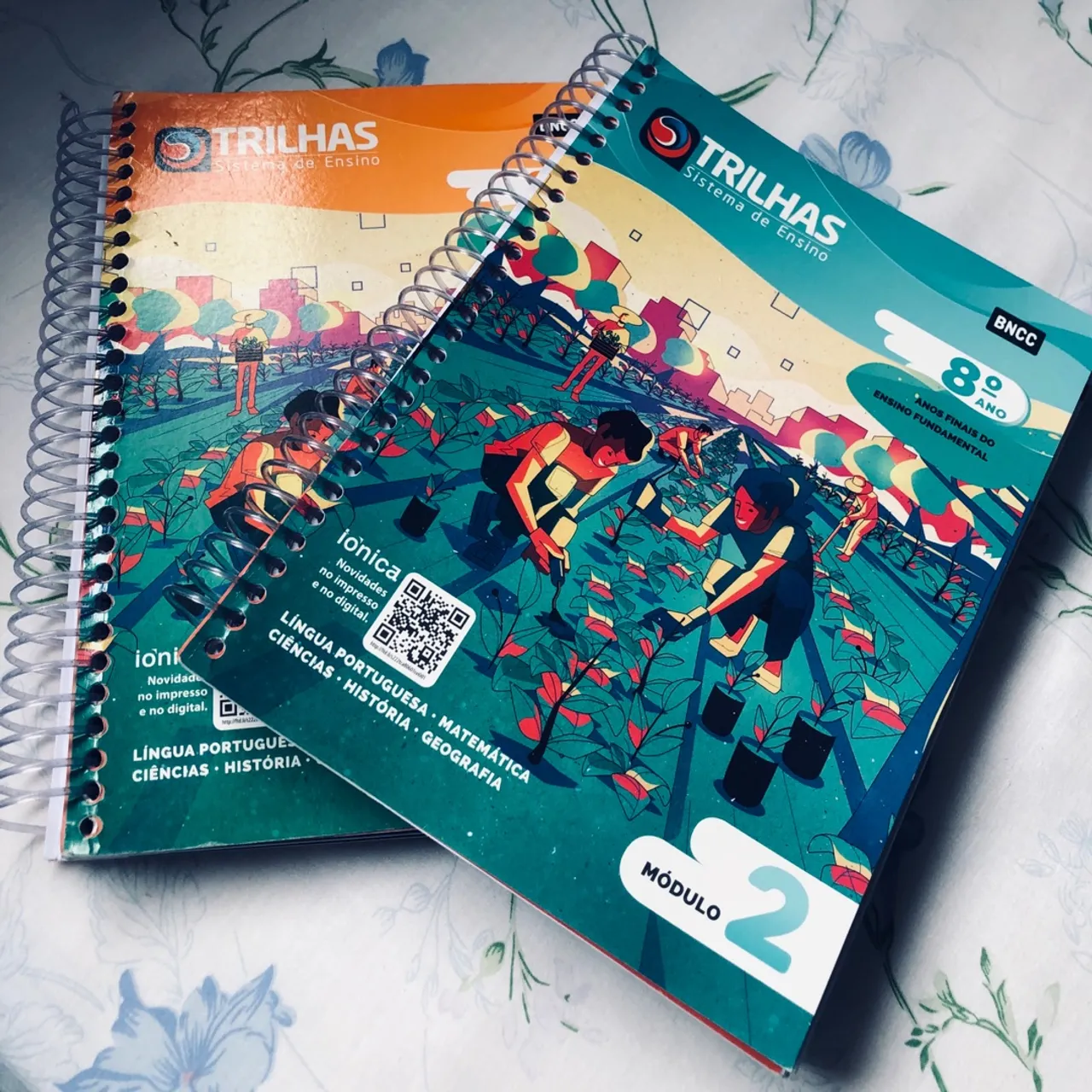 Trilhas Sistema de Ensino - 8º Ano
