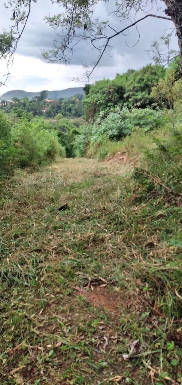 Limpeza de terrenos. - Foto 3