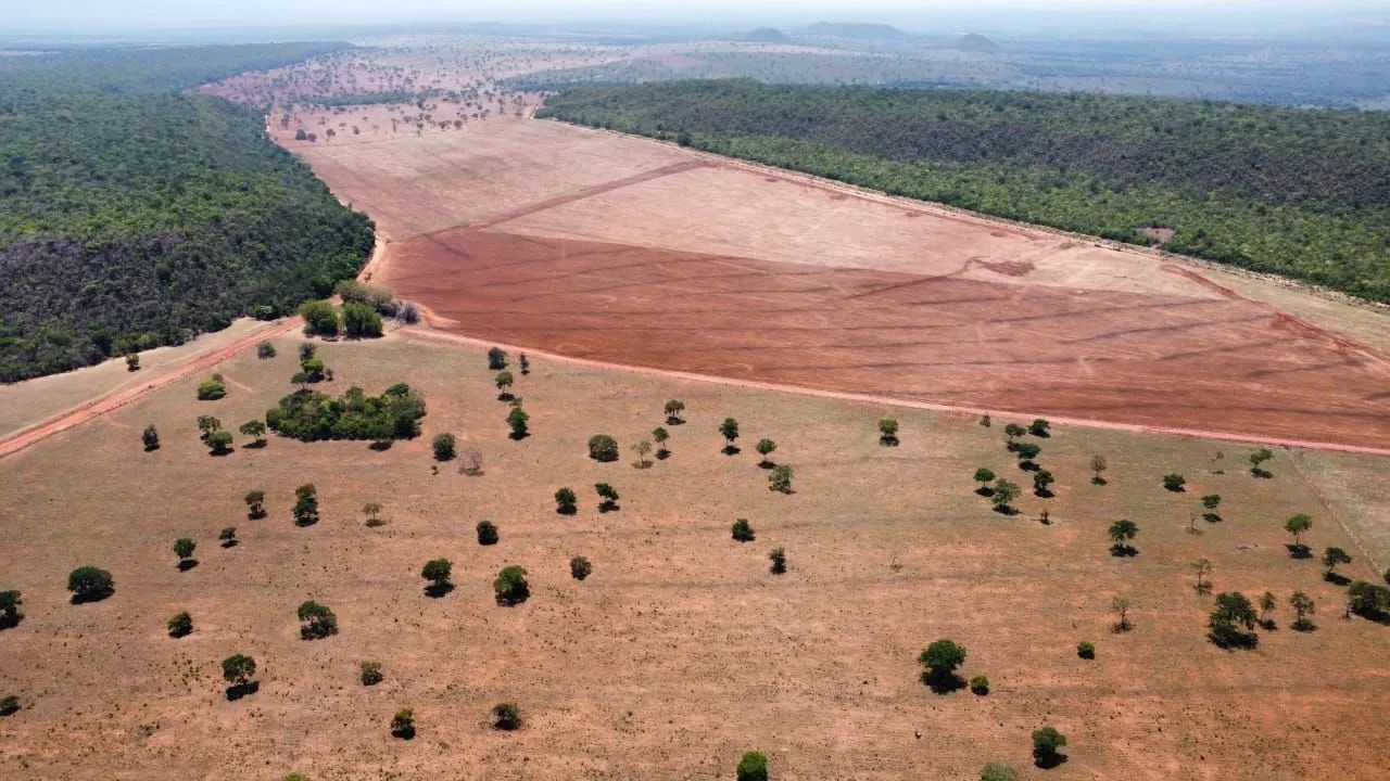 Fazenda arrendamento 3.000 hec em pasto, libera acima de 500hec 1° as no outro mais  - Foto 7