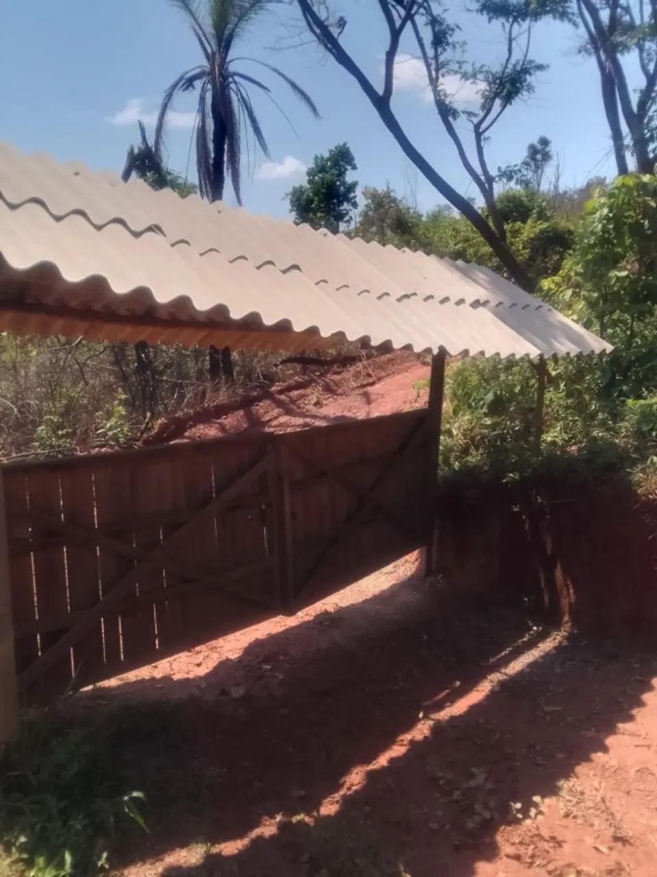 foto - Belo Horizonte - Horto Florestal