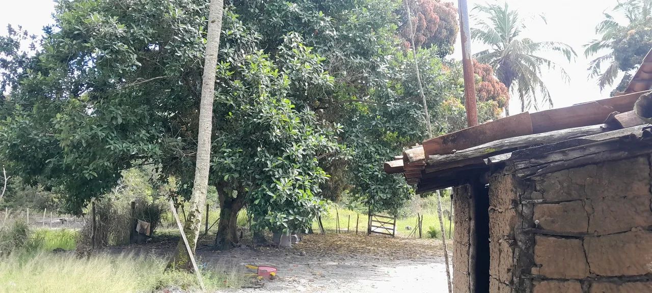 Sitio 3 taferas itaporanga  - Foto 5