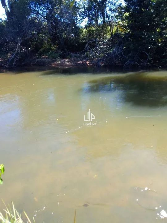 FAZENDA A R$ 17.000,00 o alqueire - Foto 3