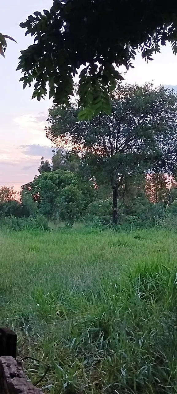 Vendo chácara em bela vista Mato Grosso Do Sul