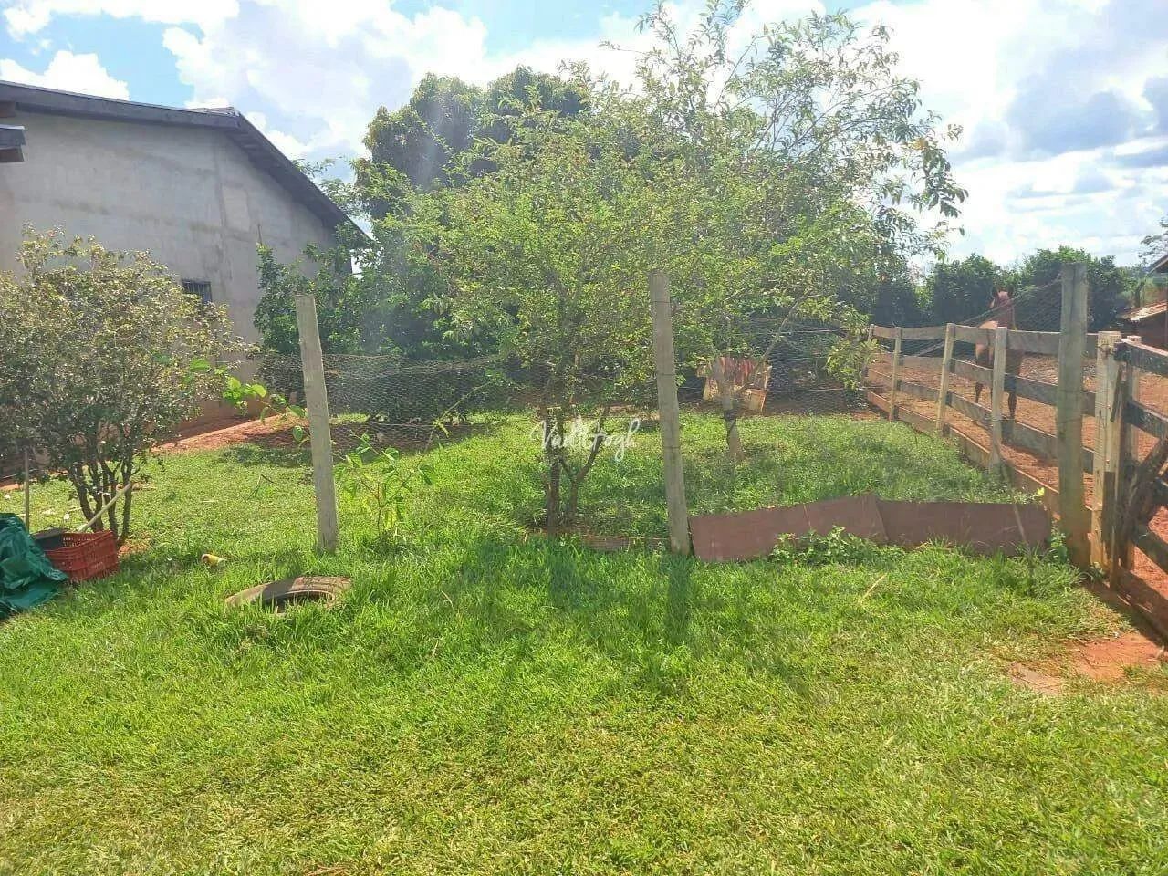 Chácara à venda, 4 quartos, São Benedito da Capelinha (Zona Rural) - São José do Rio Preto - Foto 4