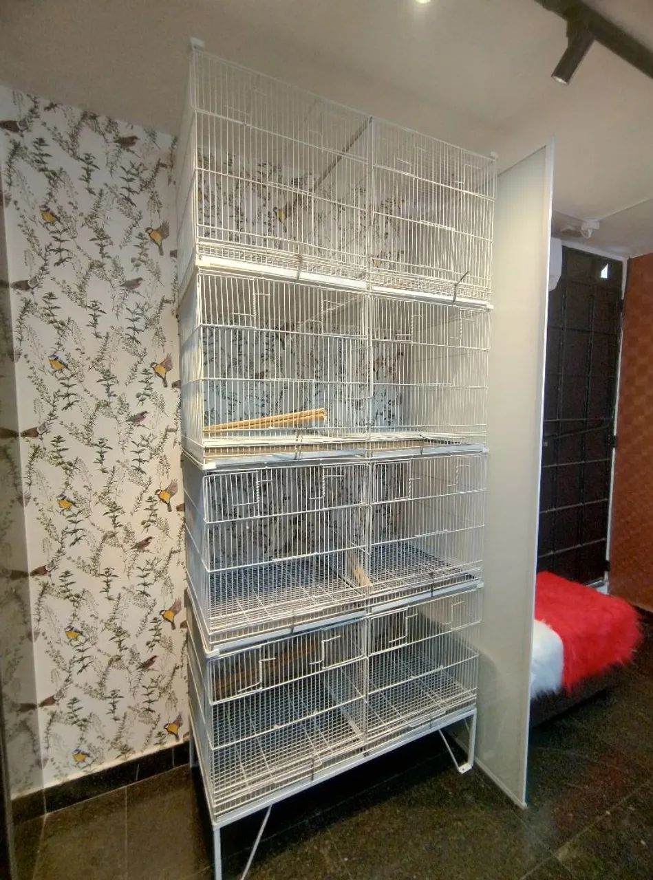 Voadora com 4 andares. 