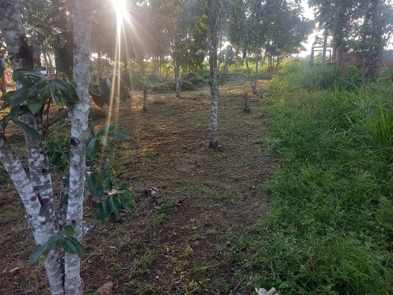 Terreno leia a descrição