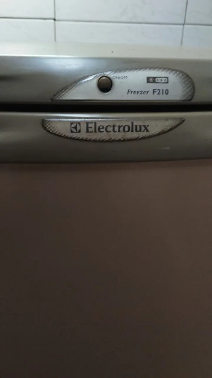 Freezer Electrolux F210