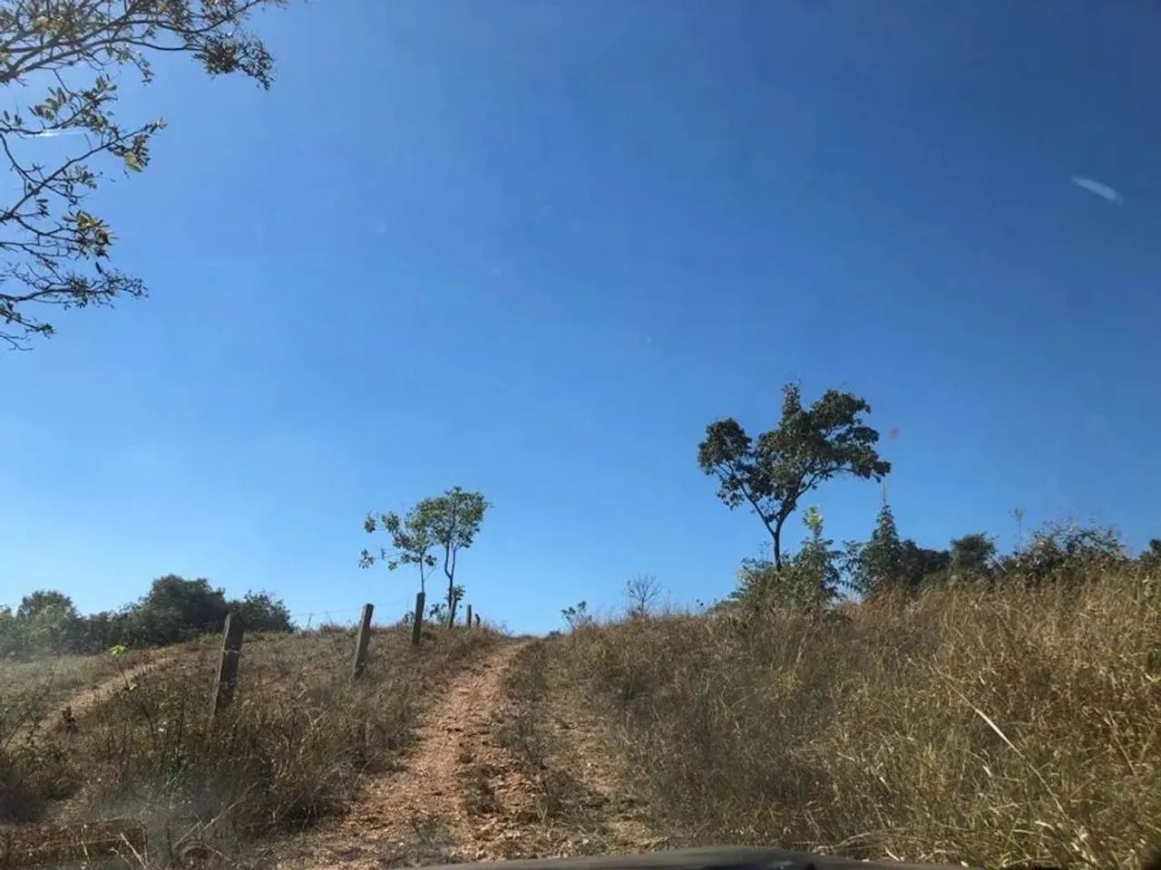 Sítio à Venda em Perdizes/MG com 3,50 Alqueires - Foto 2