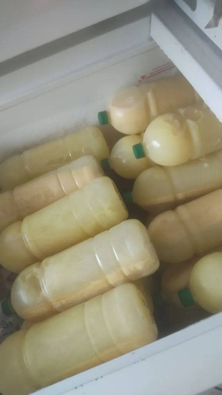 Pure Country Milk 2lt64292884319873121