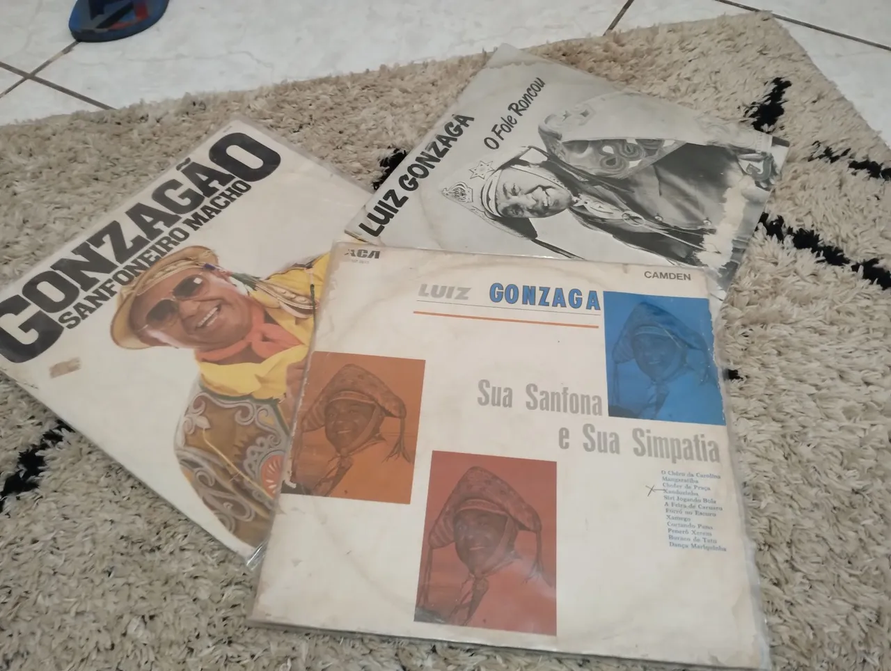 Discos de Vinil Luiz Gonzaga - Coleção