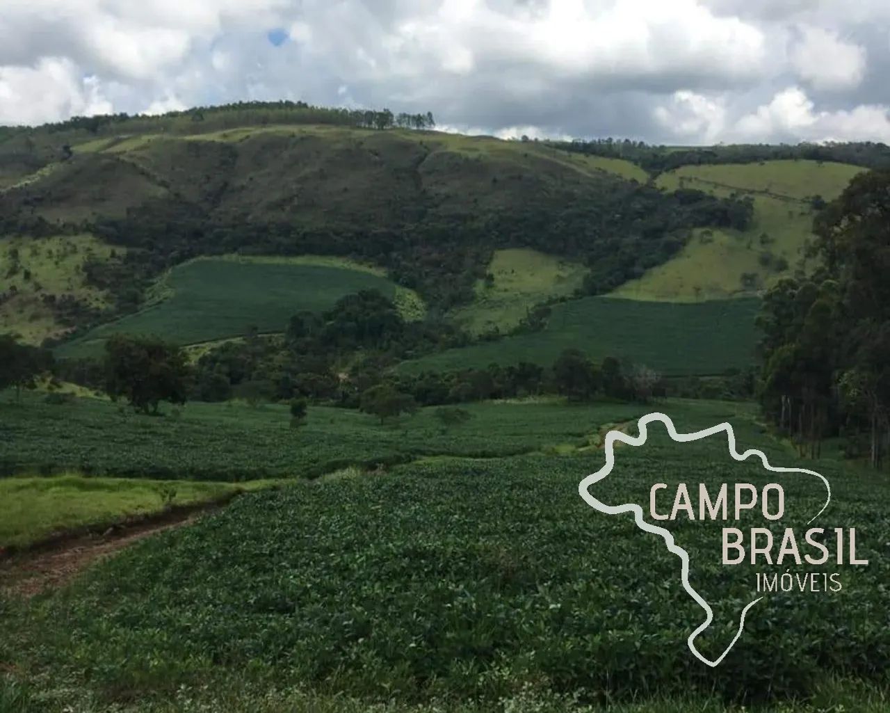 FAZENDA 1.238 HECTARES EM PIMENTA - MG ! - Foto 2