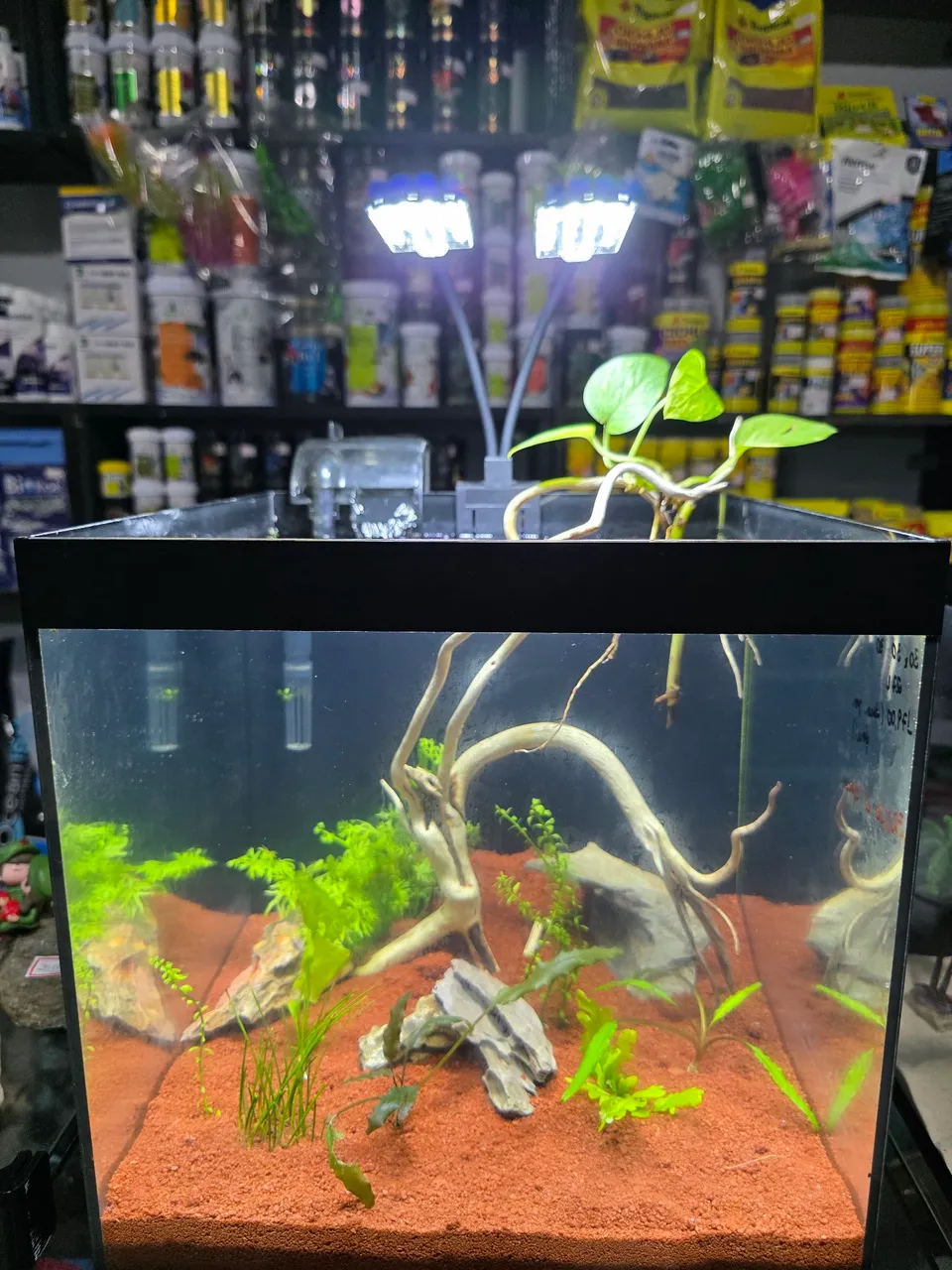 Aquário Plantado com Iluminação LED
