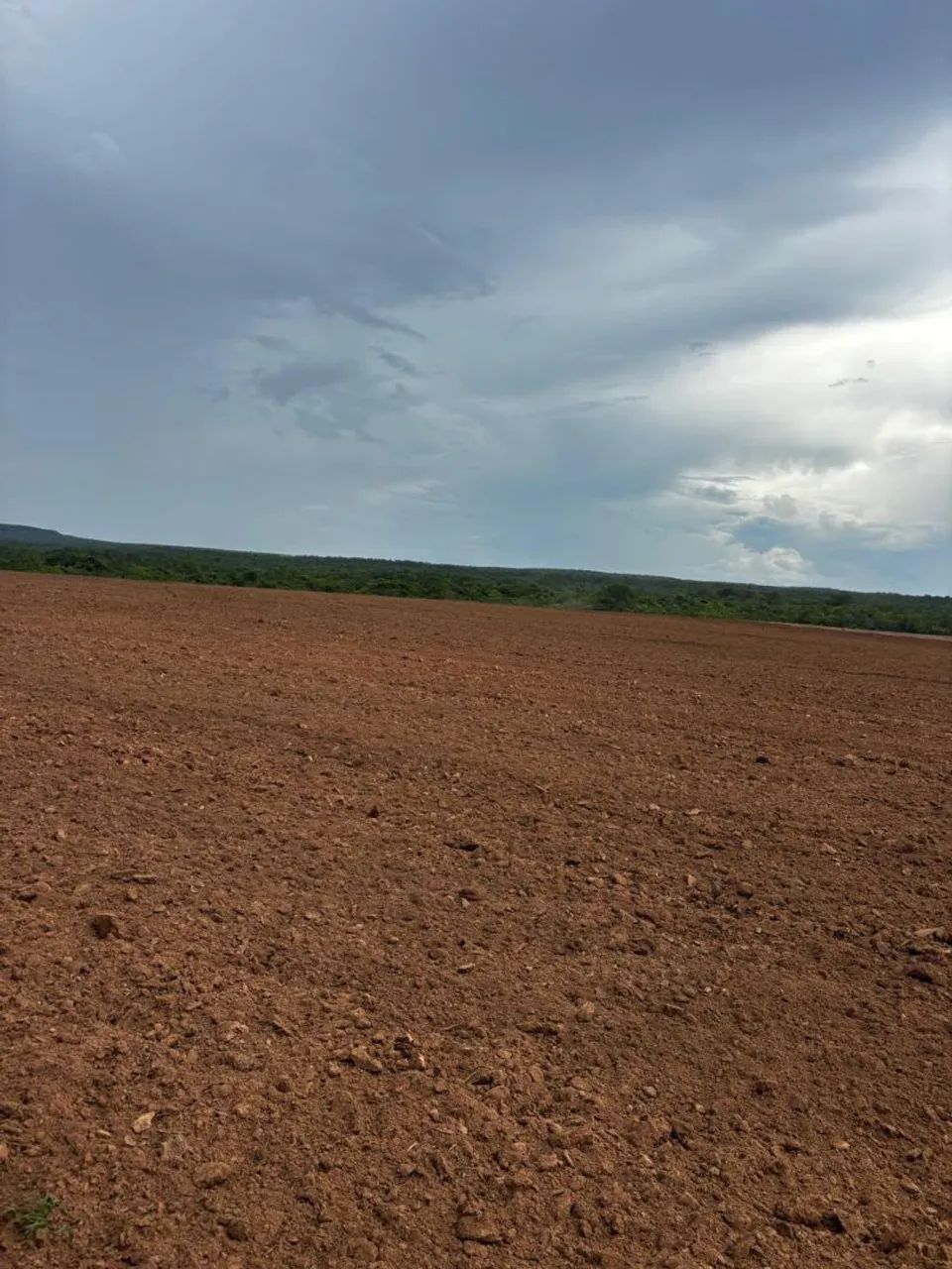 Fazenda 2700 hectares  - Foto 3