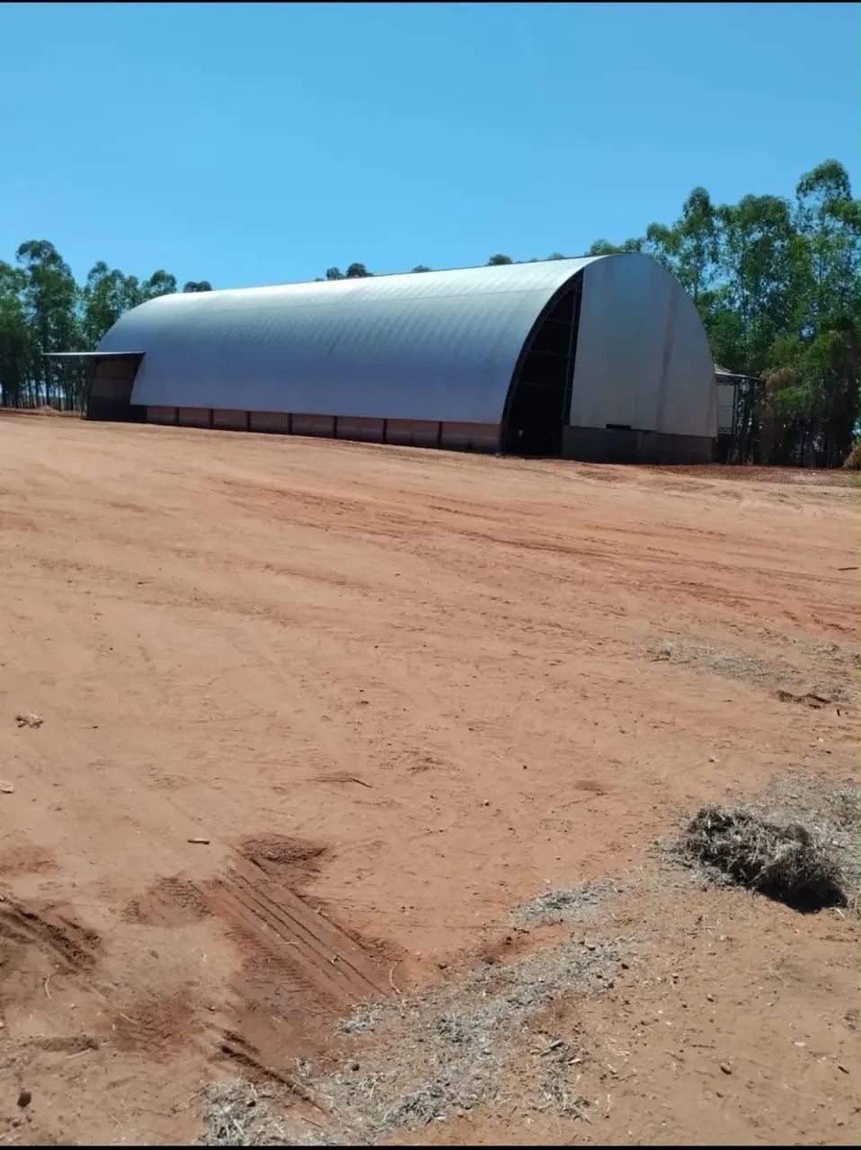 Arrendamento Plantando a 20 anos, Guarai - Tocantins - Foto 5