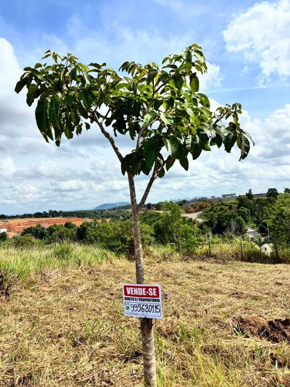 Lote em Enseada de Praia Grande. - Foto 4