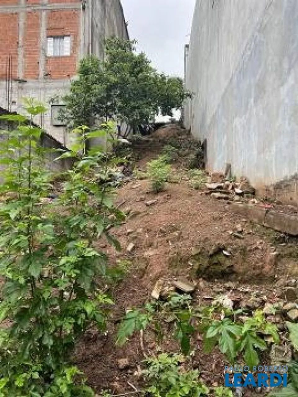 TERRENO - MORUMBI - SP - Foto 4