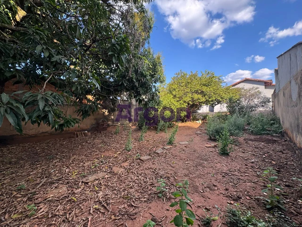 Lote | Venda | Vila São Luiz - Foto 3
