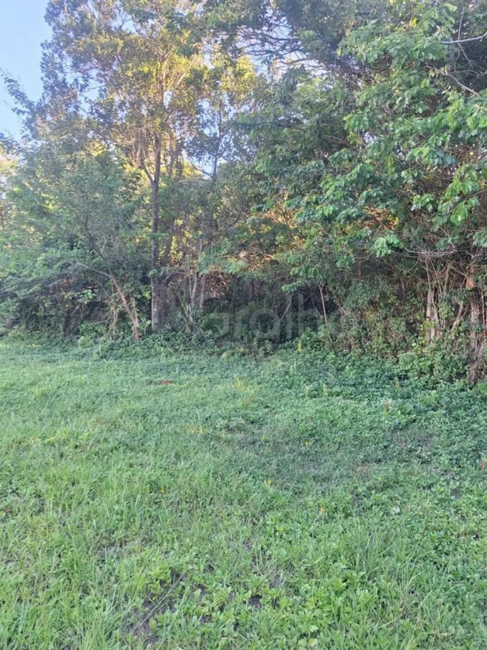 Terreno para Venda em Florianópolis, Ingleses do Rio Vermelho - Foto 2