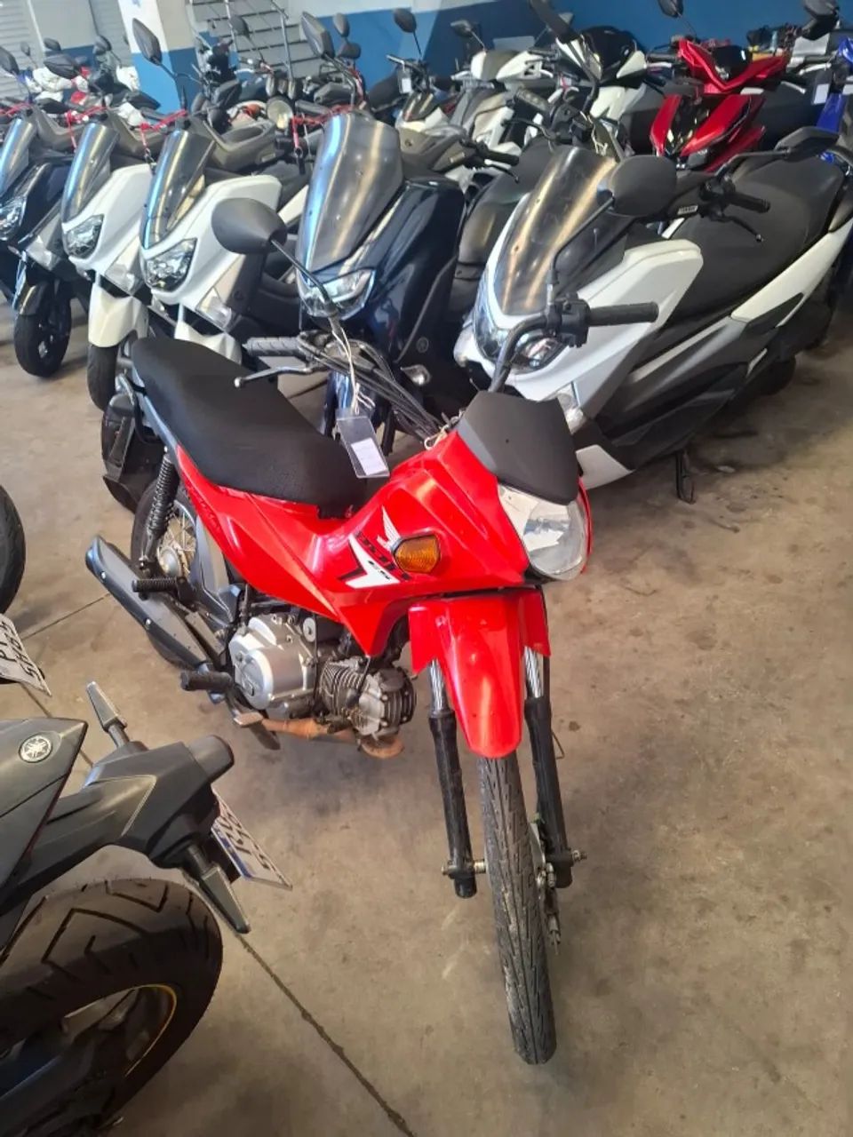 Honda Pop 110cc 2025 - Foto 2