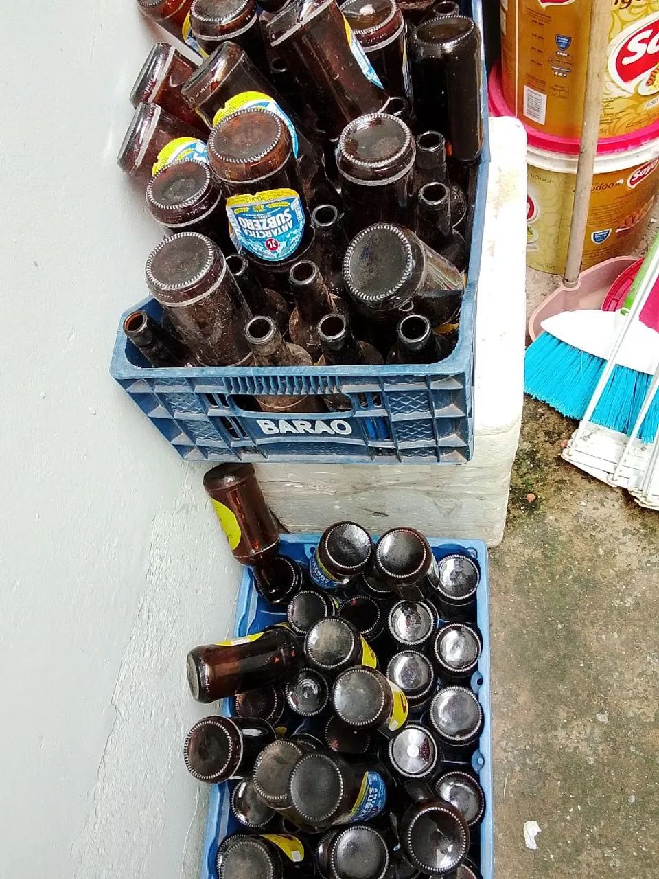 Cascos de Romarinho barato 