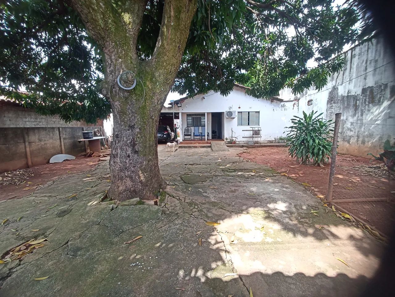 Lote Jardim Europa - Foto 4