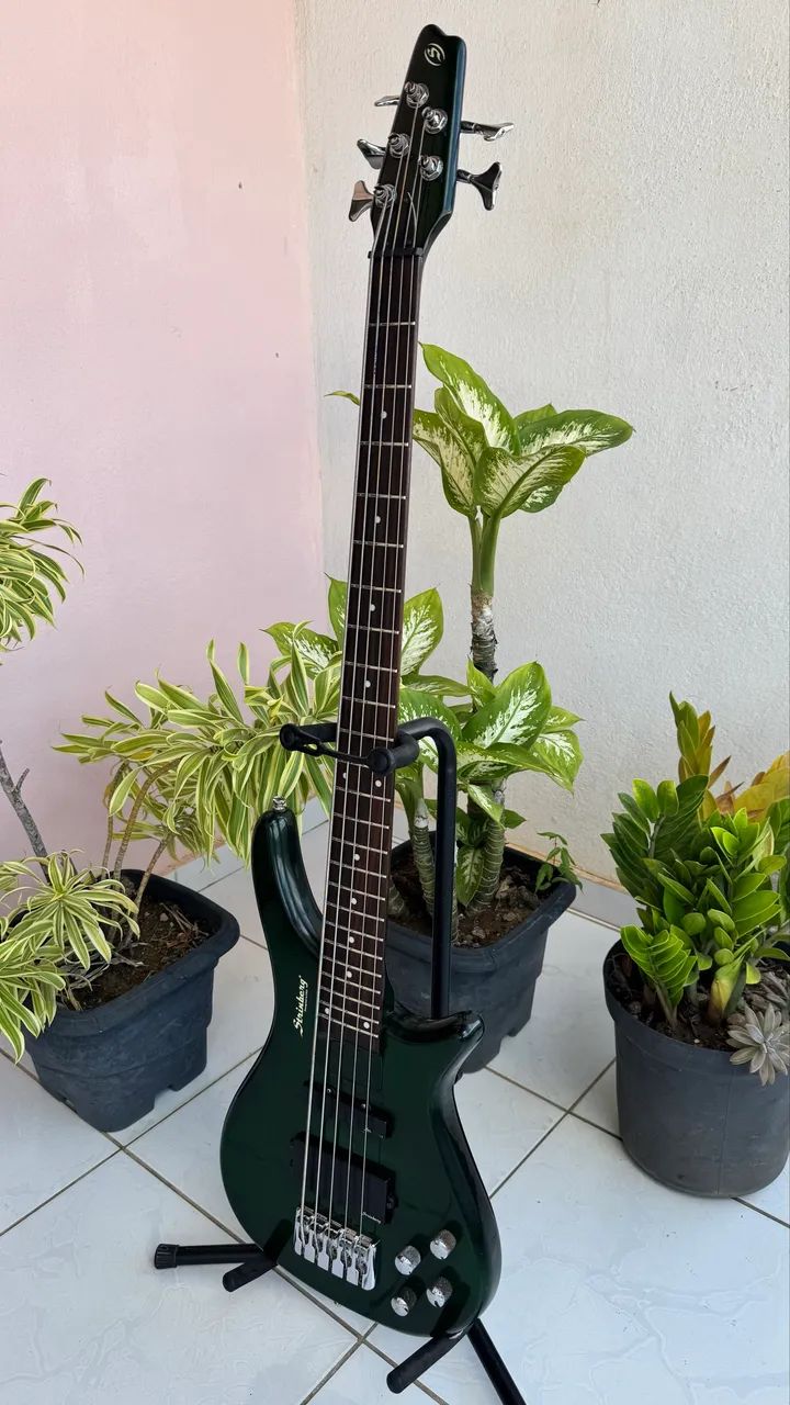 Baixo Strinberg 5c