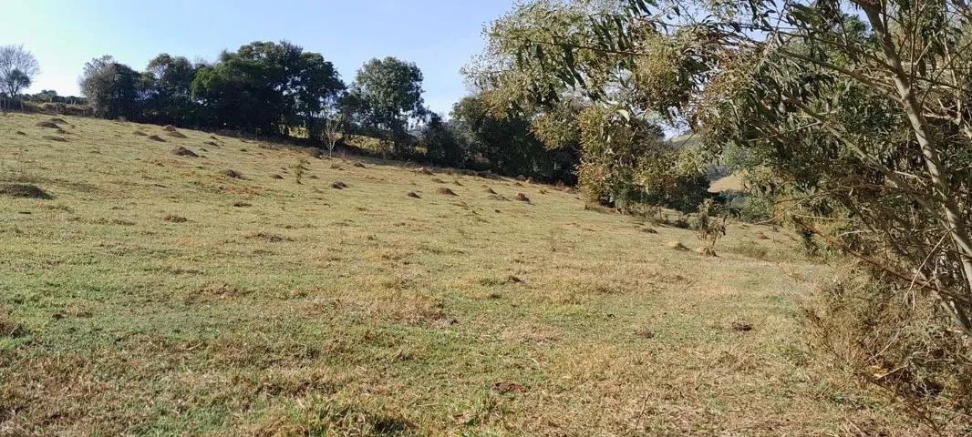 TERRENO PARA CHACARA - Foto 4