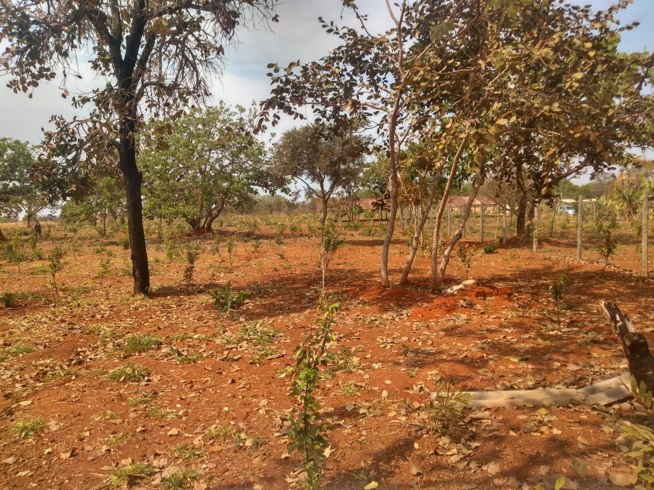 Terreno Chácara plano - Foto 3