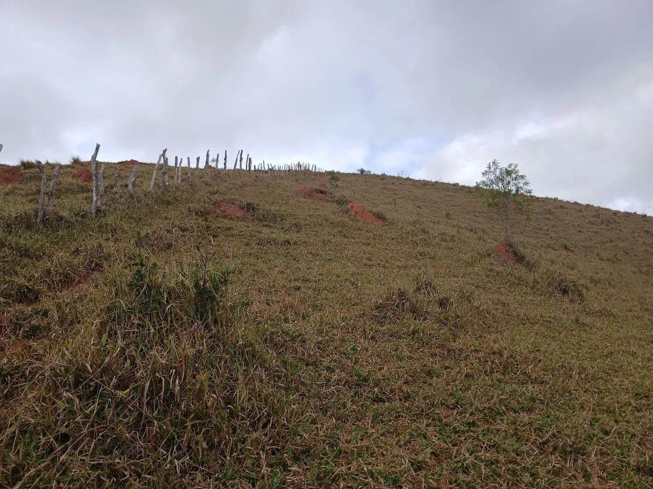 Vendo sitio em são luiz do paraitinga  - Foto 4