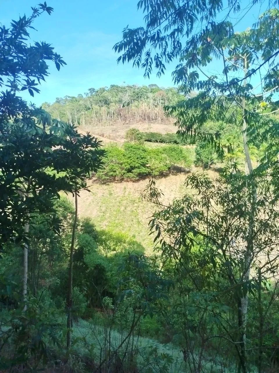 CASEIRO -APOSENTADO - CONTRATO TRABALHO - Foto 3