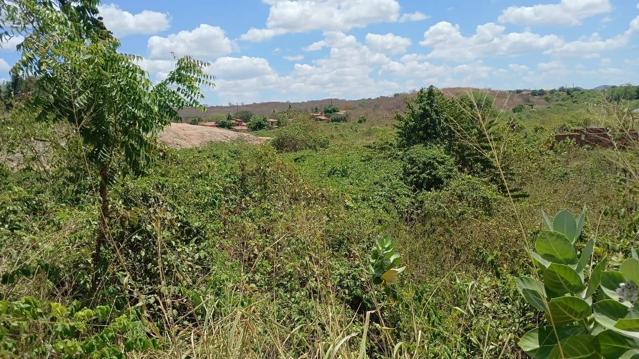 TERRENO À VENDA EM ARACOIABA - CE  - Foto 2
