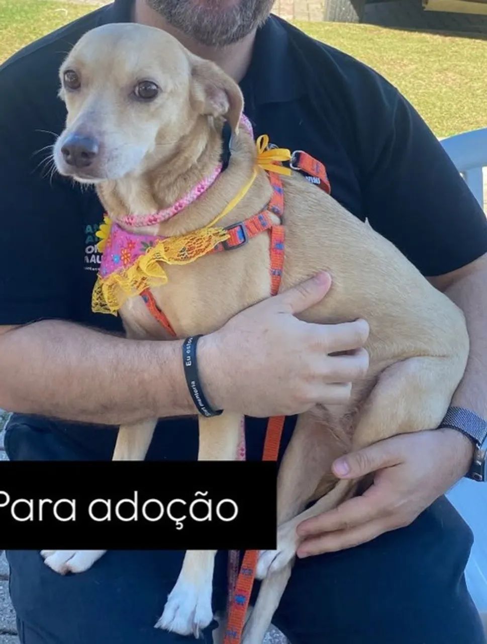 Luna Linda  - Foto 2