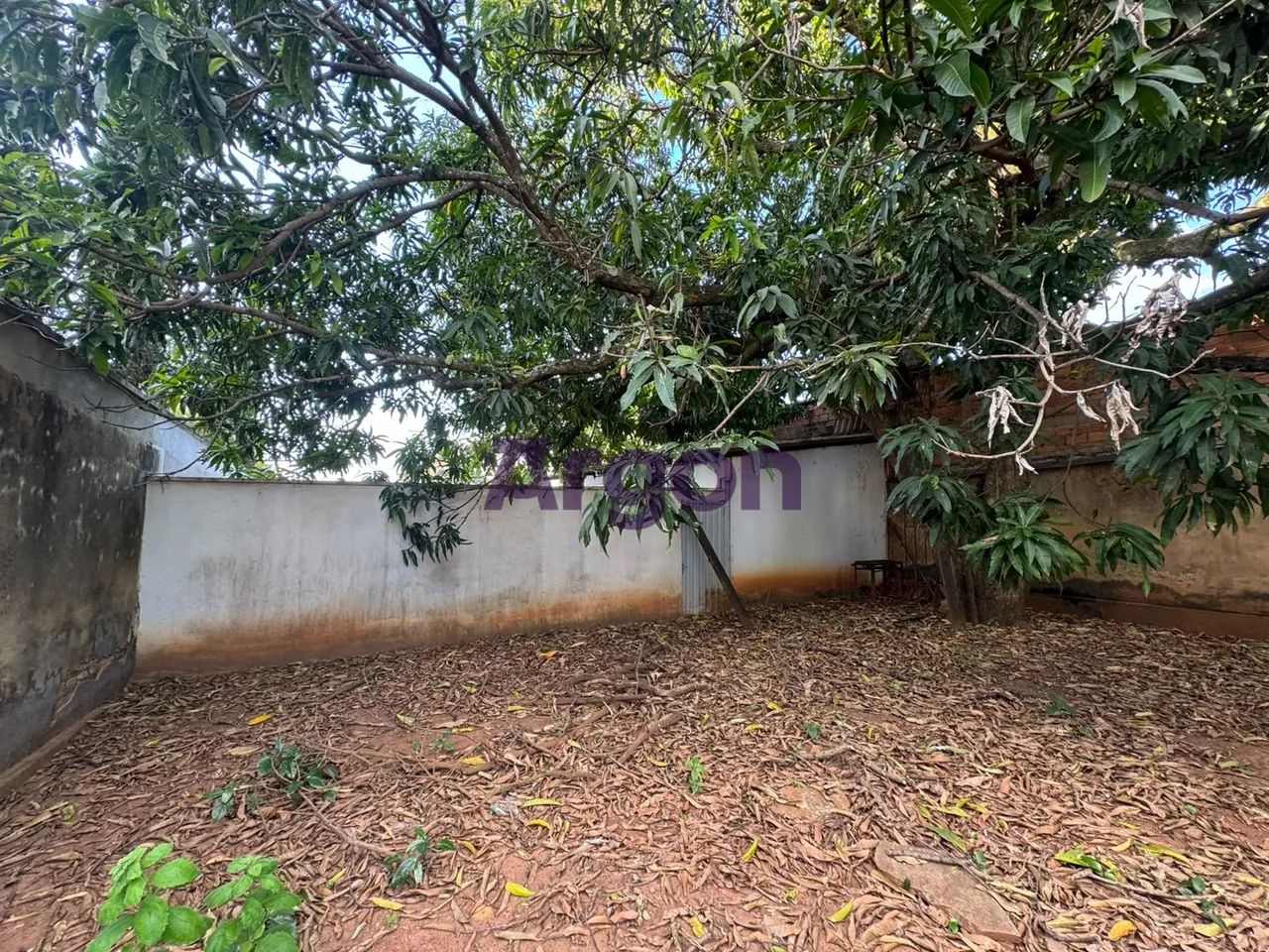 Lote | Venda | Vila São Luiz - Foto 5