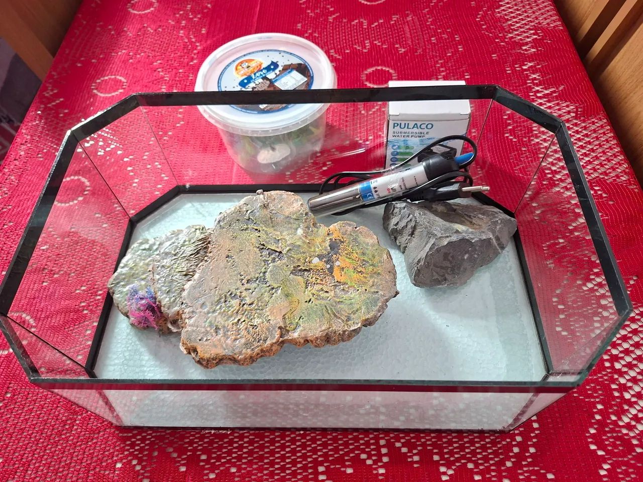 Aquaterrarium completo - Foto 2