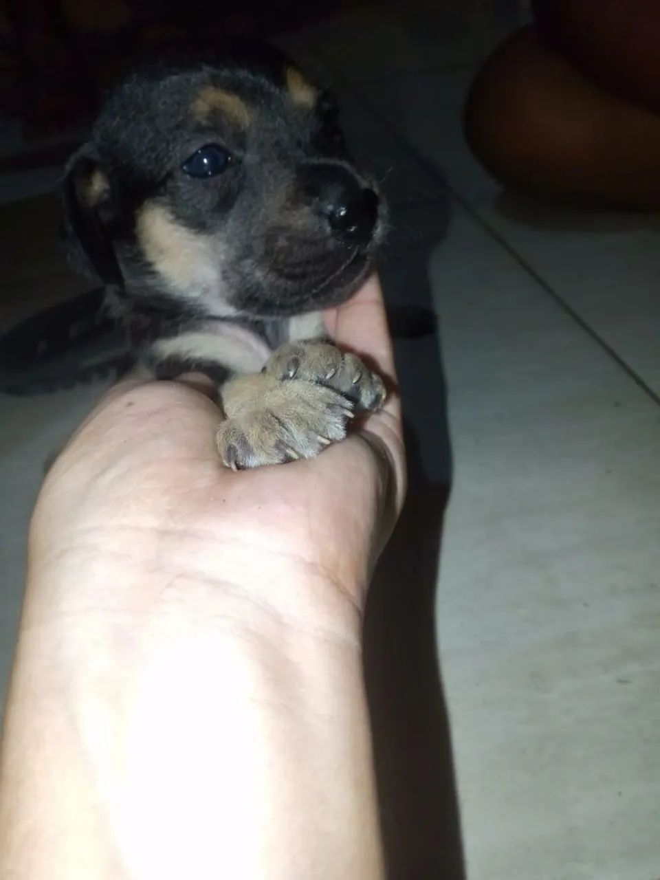 Doação  - Foto 2