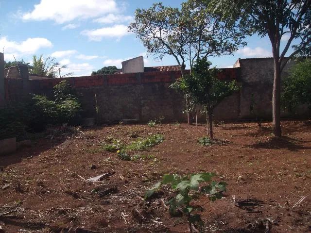 Terreno Padrão em Uberlândia - Foto 3