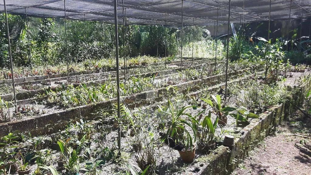 Ótimo Sítio com Imenso Terreno em Várzea das moças, - Foto 3