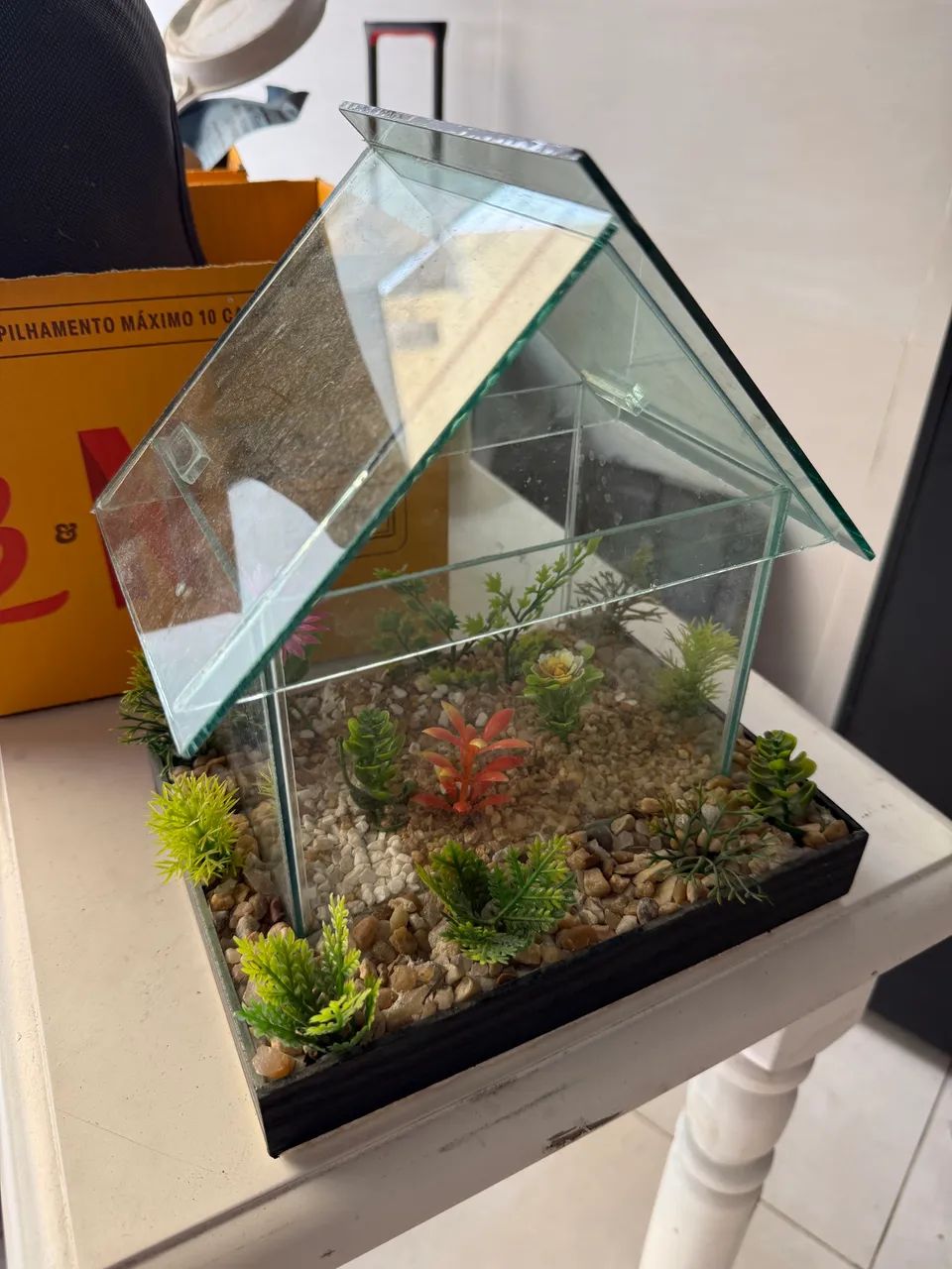 Aquário Betta Beteira completo