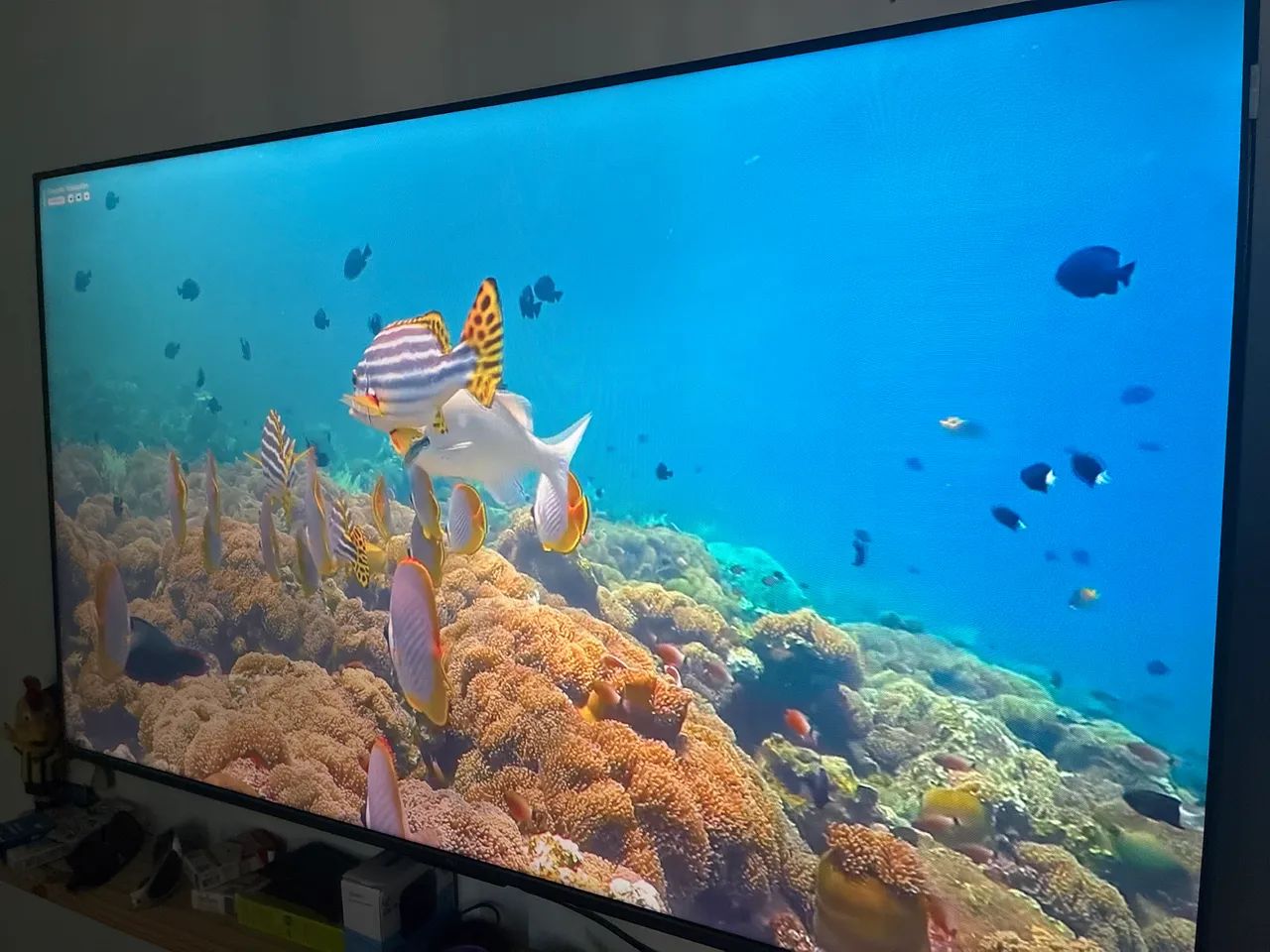 TCL 655 55 POL 4K