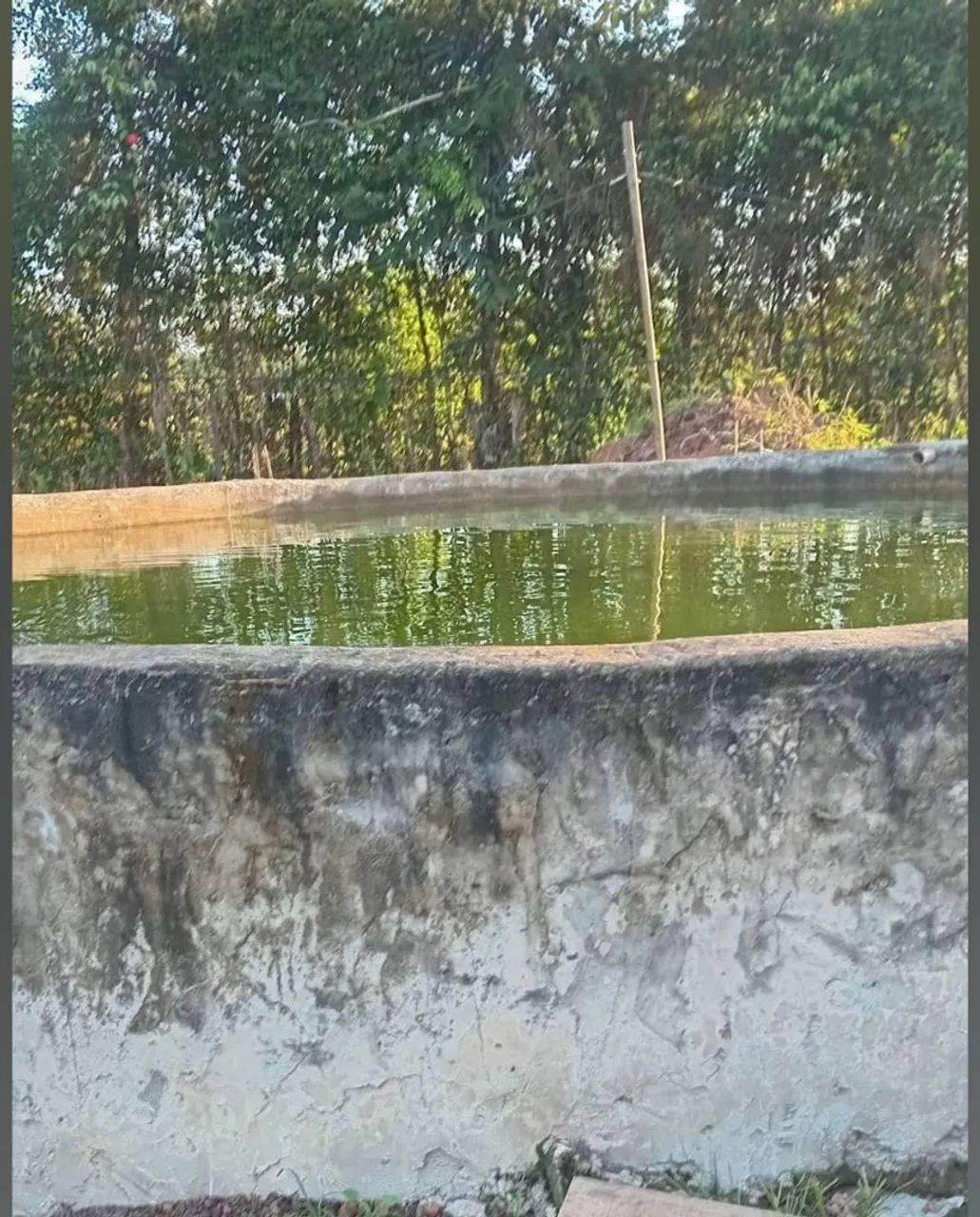 Terreno a venda  - Foto 3