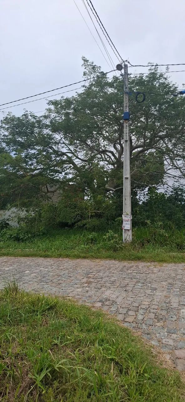 Pipa Boulevard  - Foto 3