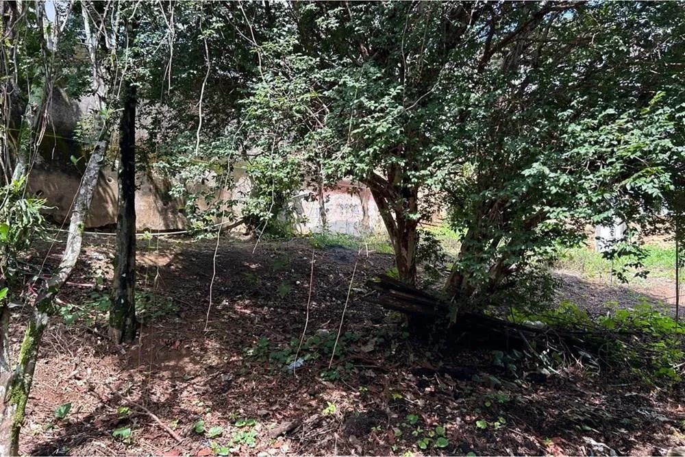 Terreno - São José do Calçado - Foto 4