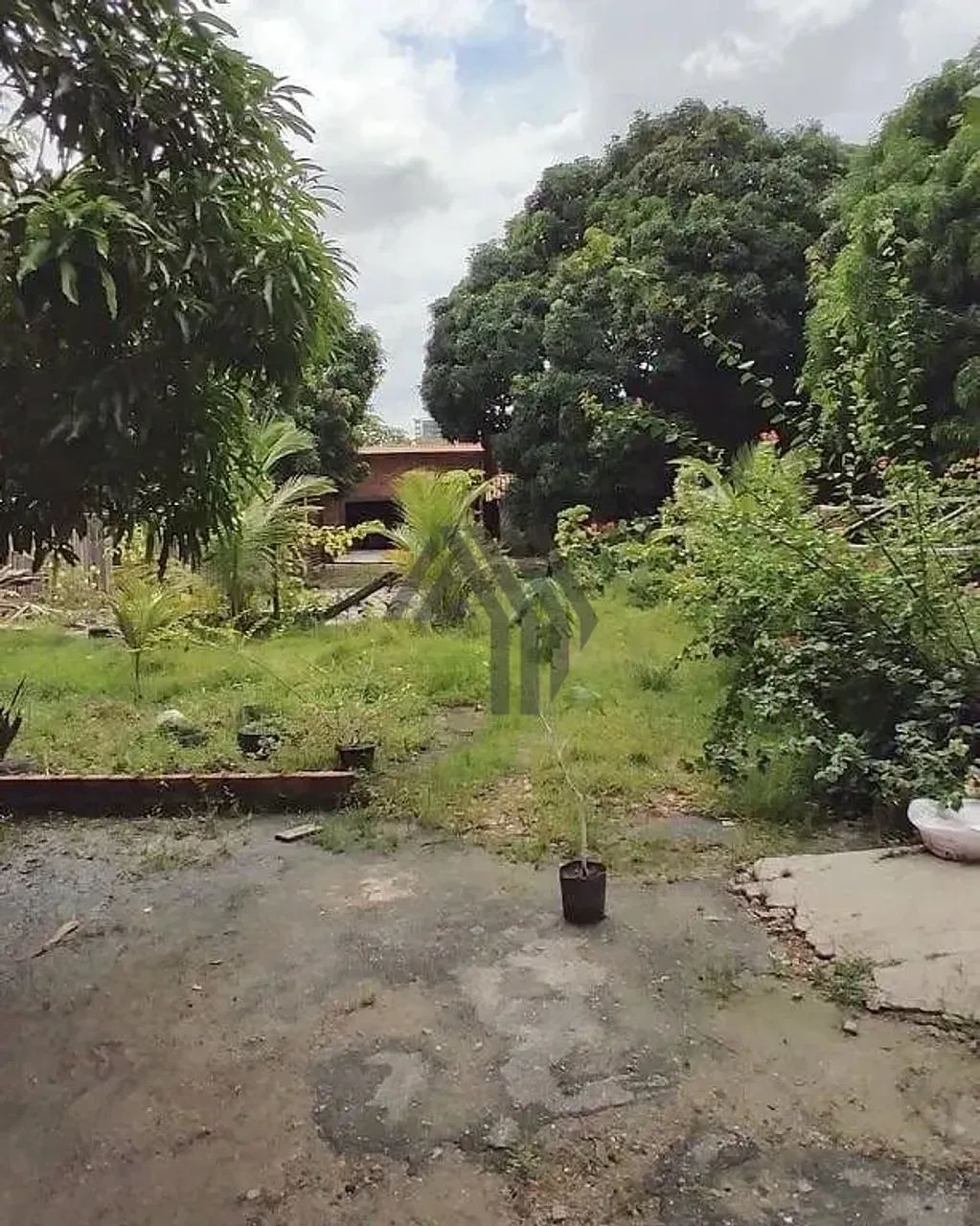 Terreno para locação plano, seco e totalmente murado, com aproximadamente 700 m²- Umarizal - Foto 4