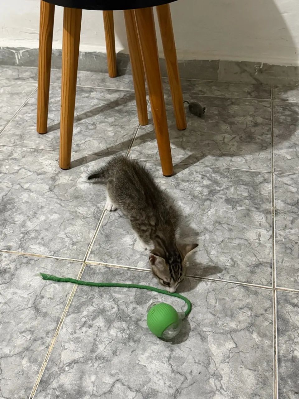 DOAÇÃO  - Foto 5