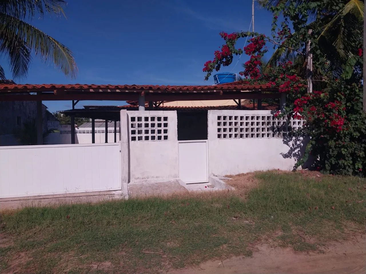 Foto - Campina Grande - Palmeira