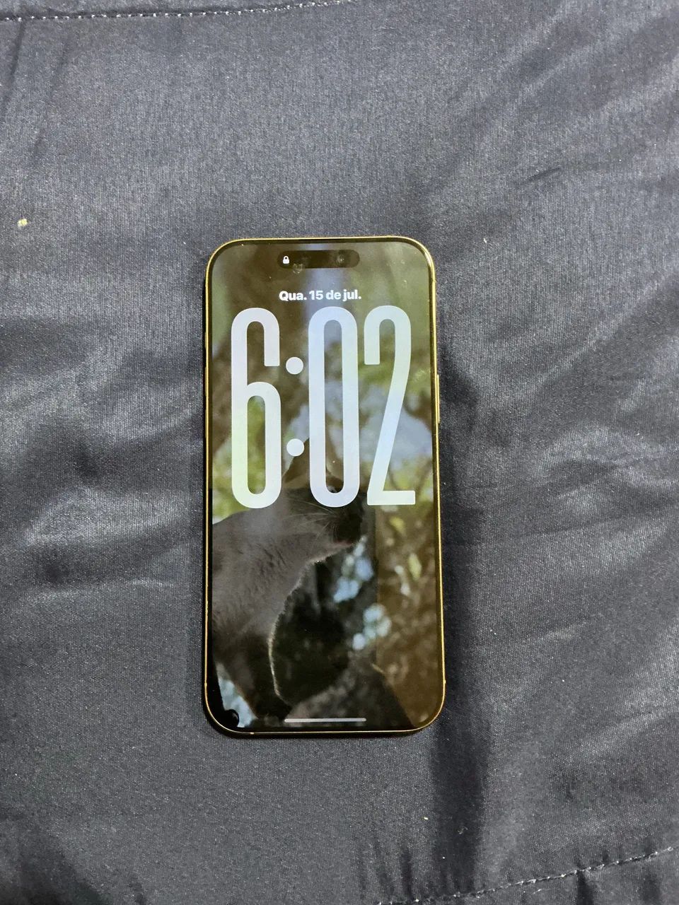 iPhone 16 Pro Max 256GB C/ Case Original Apple - Foto 3