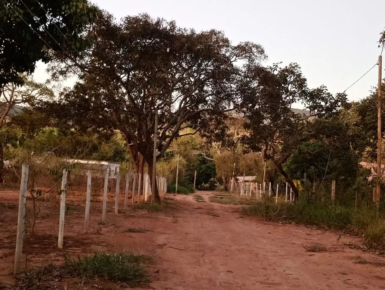 Lote próximo a cajuru - Foto 2