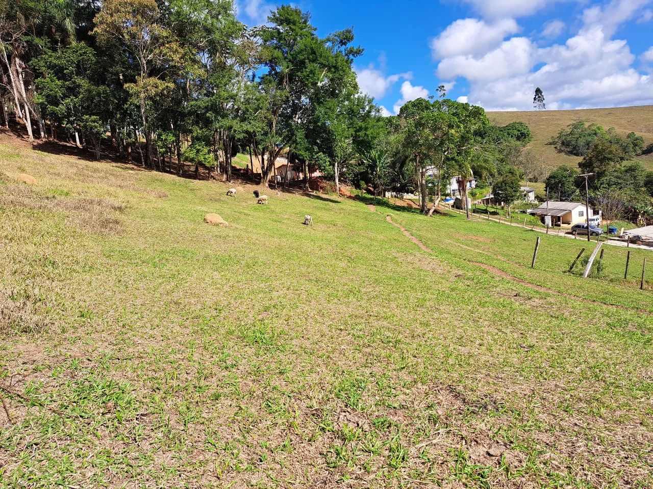 Foto - Santa Isabel - 