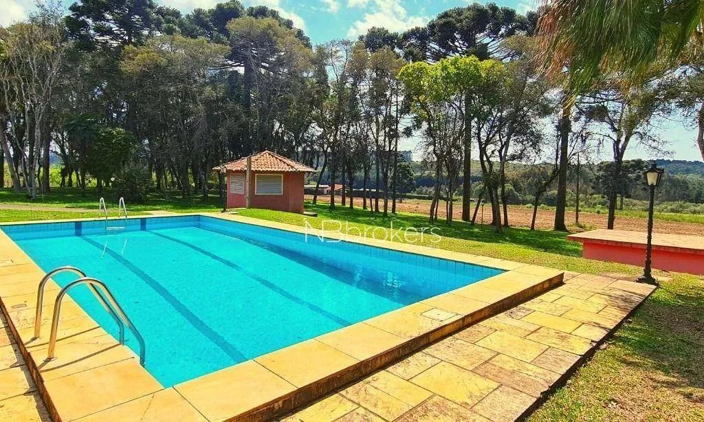 OPORTUNIDADE DE INVESTIMENTO EM CAMPINA GRANDE DO SUL  CHÁCARA COM GRANDE POTENCIAL! - Foto 4